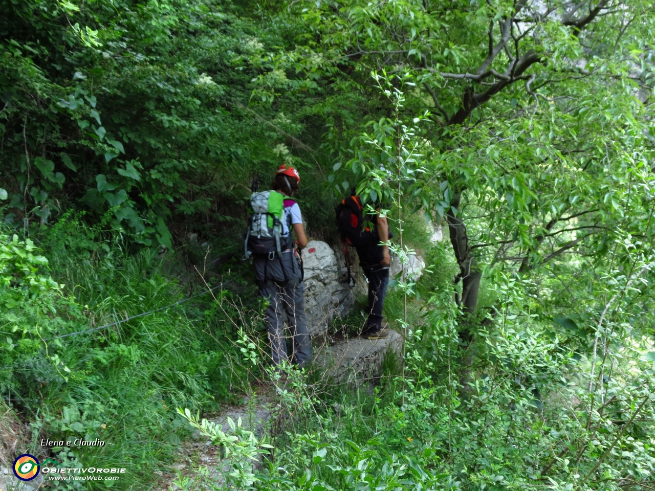 03 In mezzo alla natura.JPG
